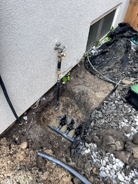 Yard before landscaping