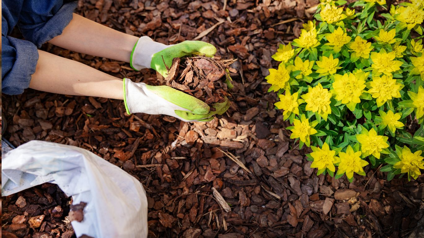 Concrete driveway installation