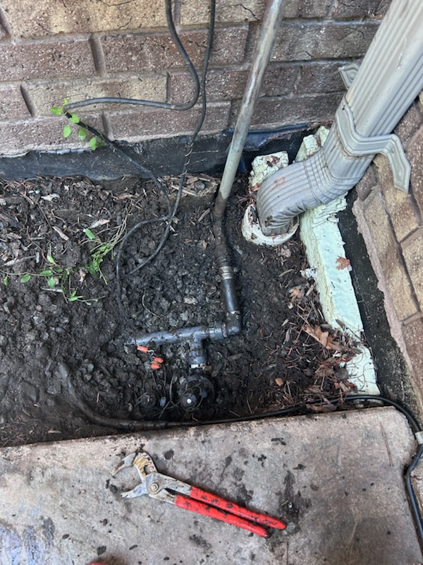 Yard after landscaping