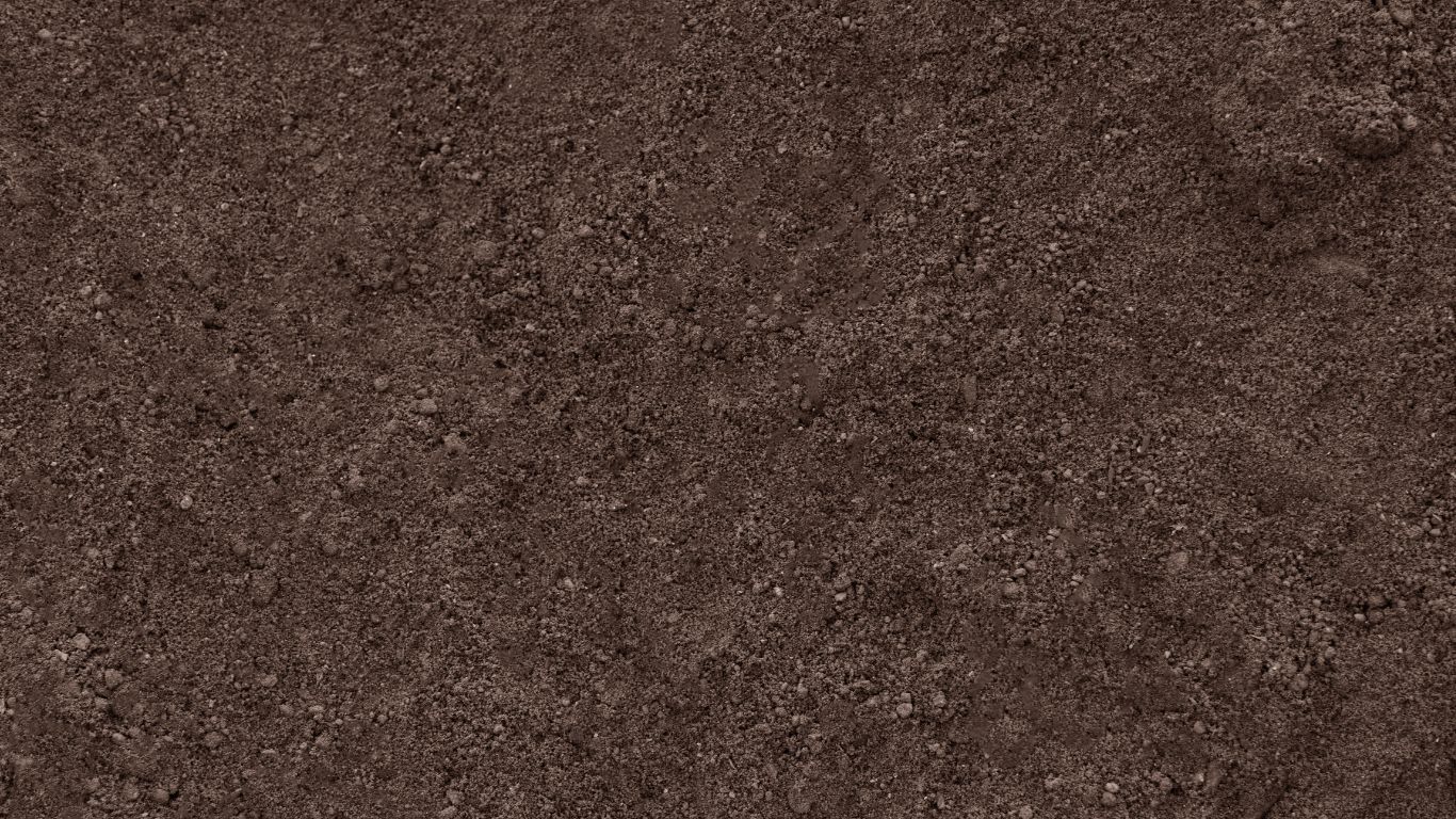 Concrete driveway installation