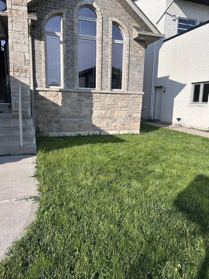 Before landscaping