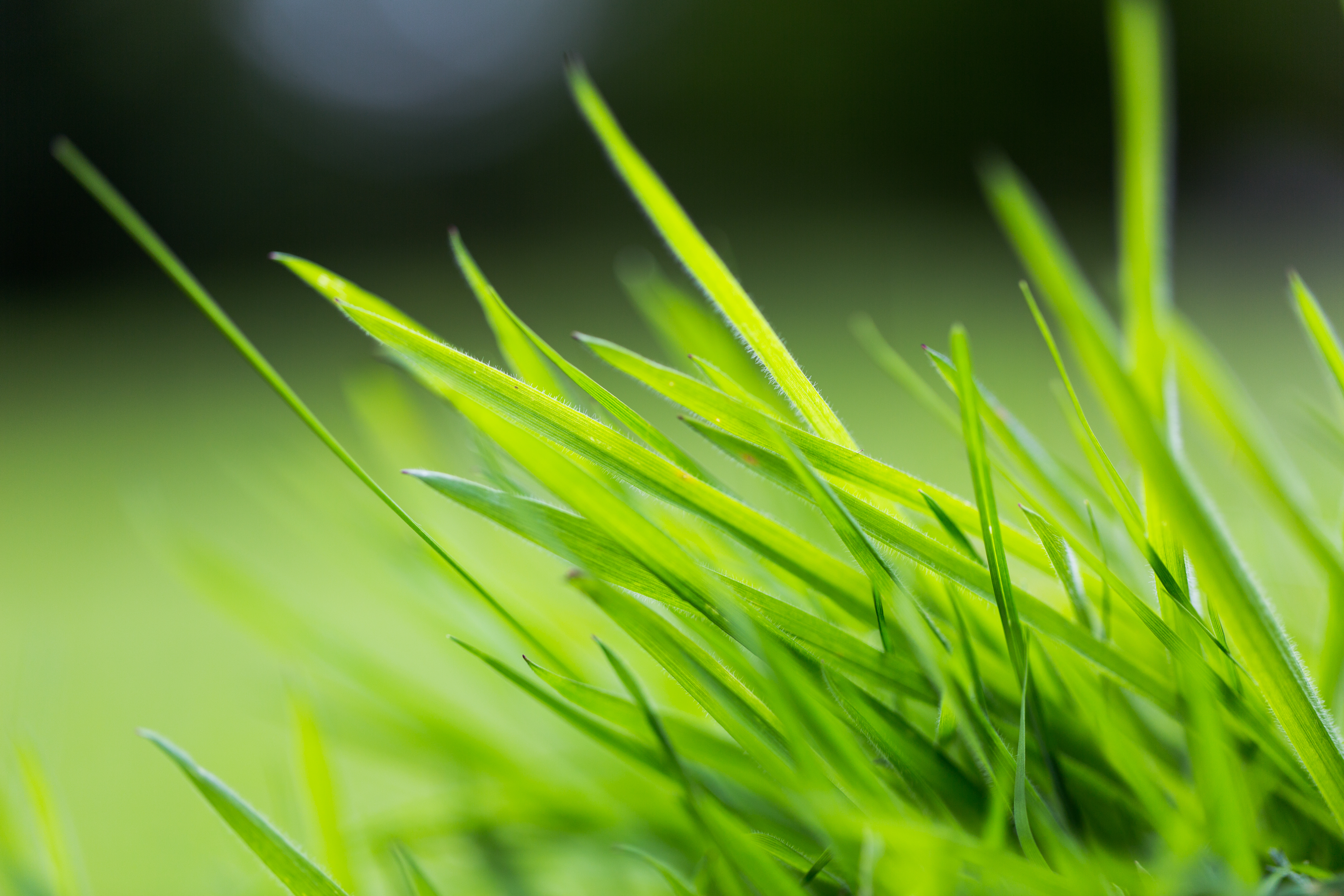 Concrete driveway installation